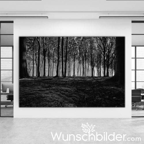 Lonely Wanderer - Gespensterwald Nienhagen - Fotokunst von WUNSCHBILDER.com