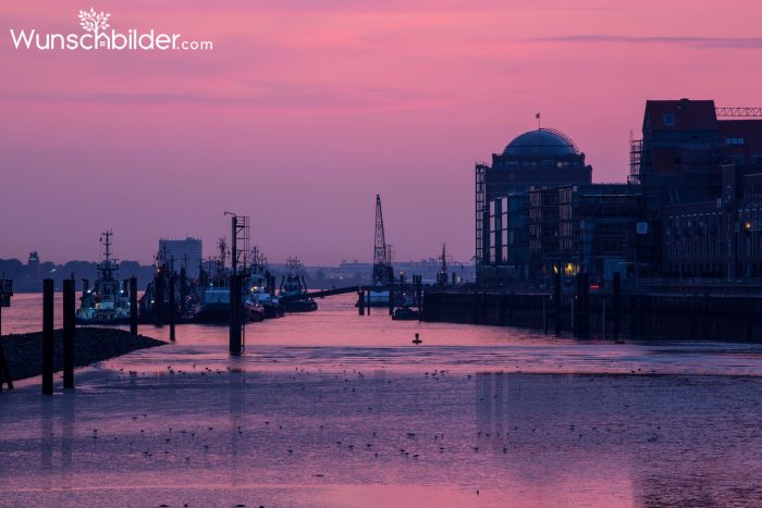 Hamburg Hafen Romantik - Schiffe in der Abendsonne - Fotografie auf Leinwand